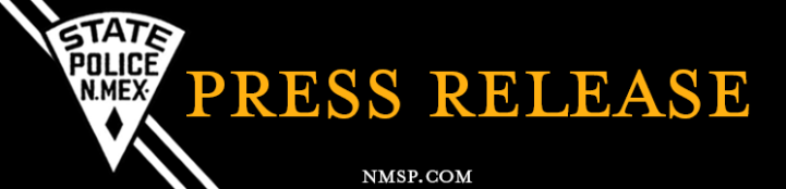 NMSP logo